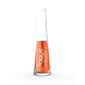 CASCO DE TARTARUGA - 87 - Imagem 1